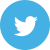 Twitter Logo